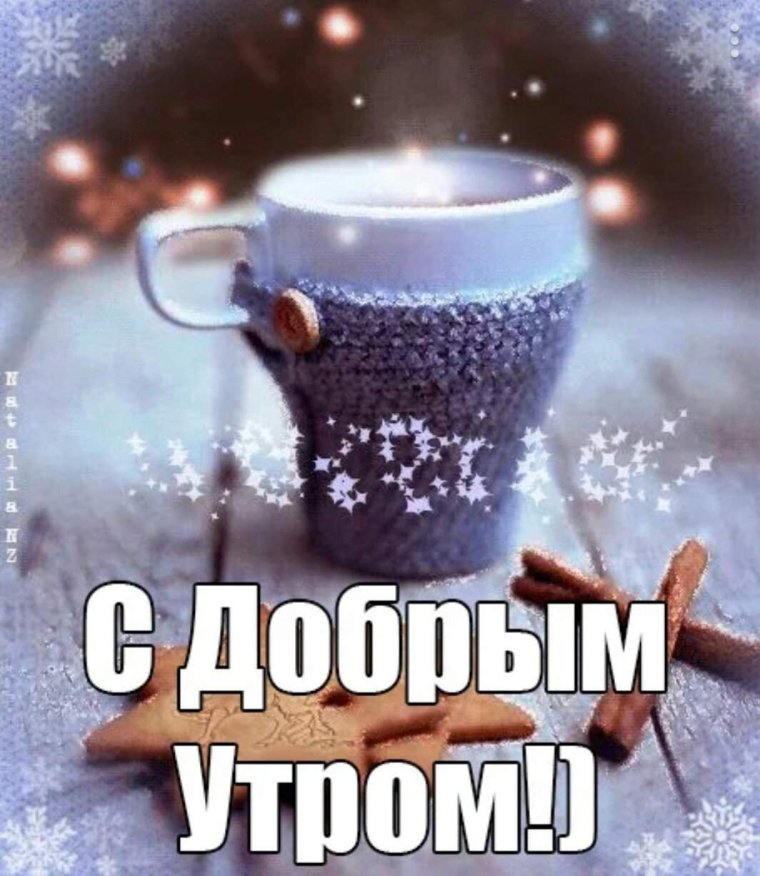 Смешные картинки с добрым утром