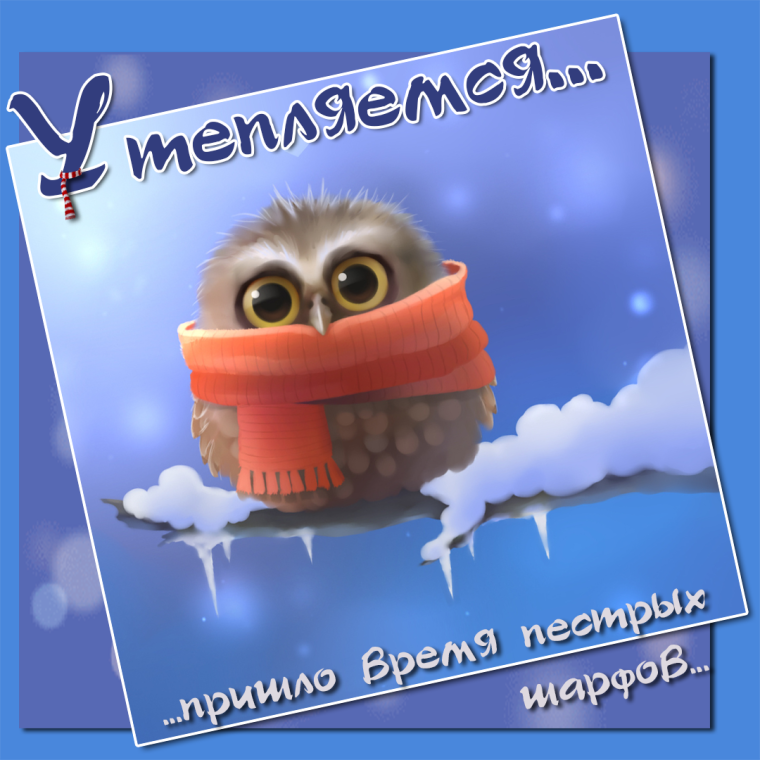 Открытка «холодно»