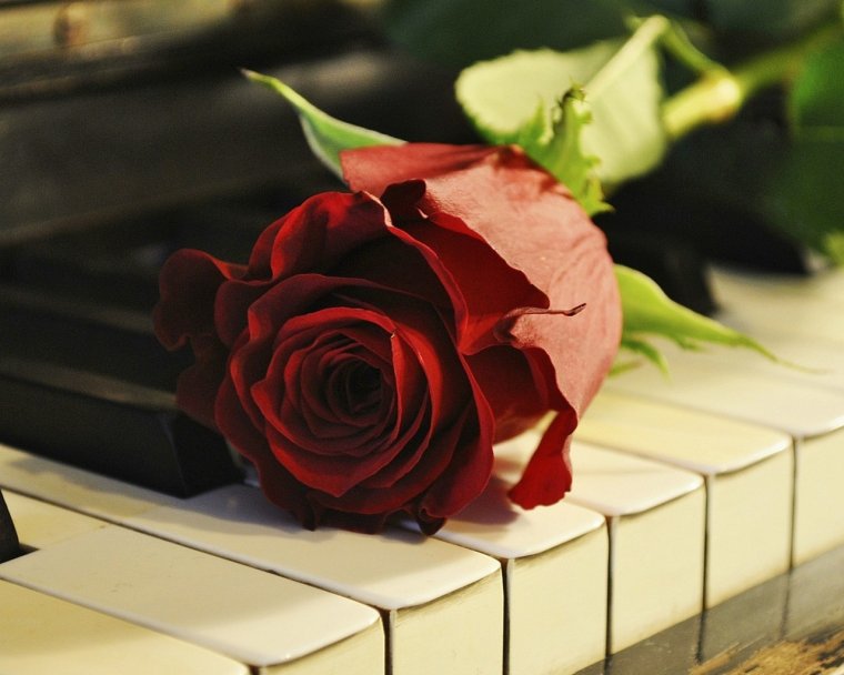 Поздравления с днём рождения мужчине