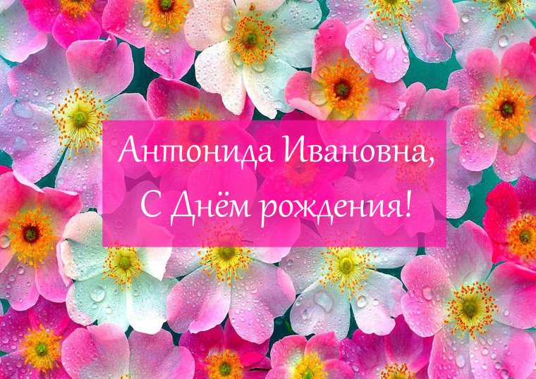 Поздравление с 40 летием