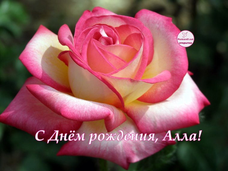 Похдравить сестру с днём рождения