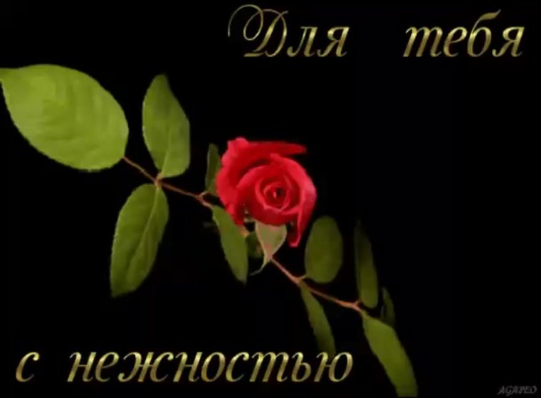 Поздравления с днем рождения цветы