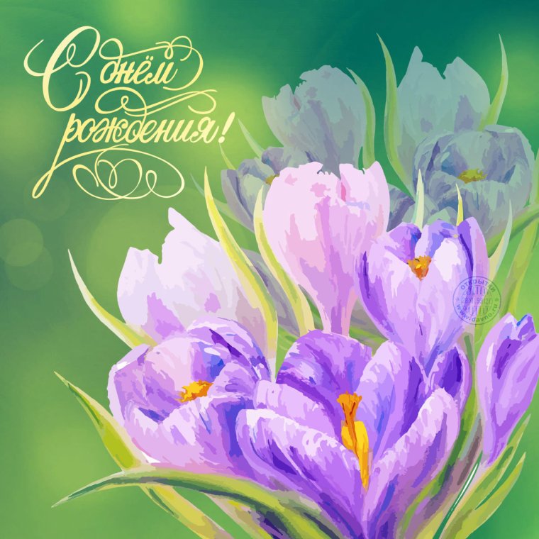 С днем рождения