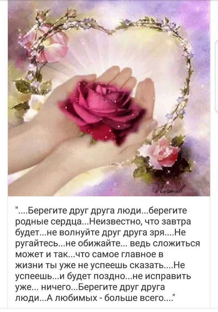 Берегите друг друга стихи
