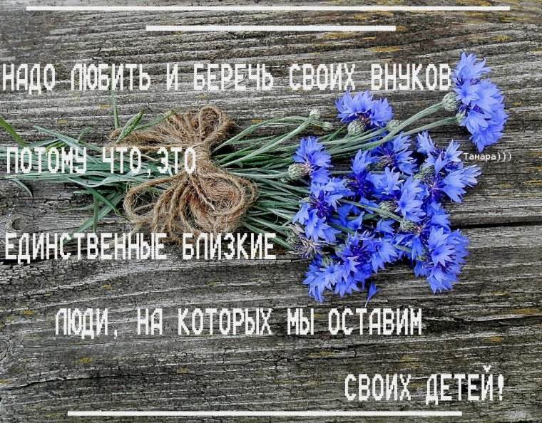Надо беречь и любить своих внуков