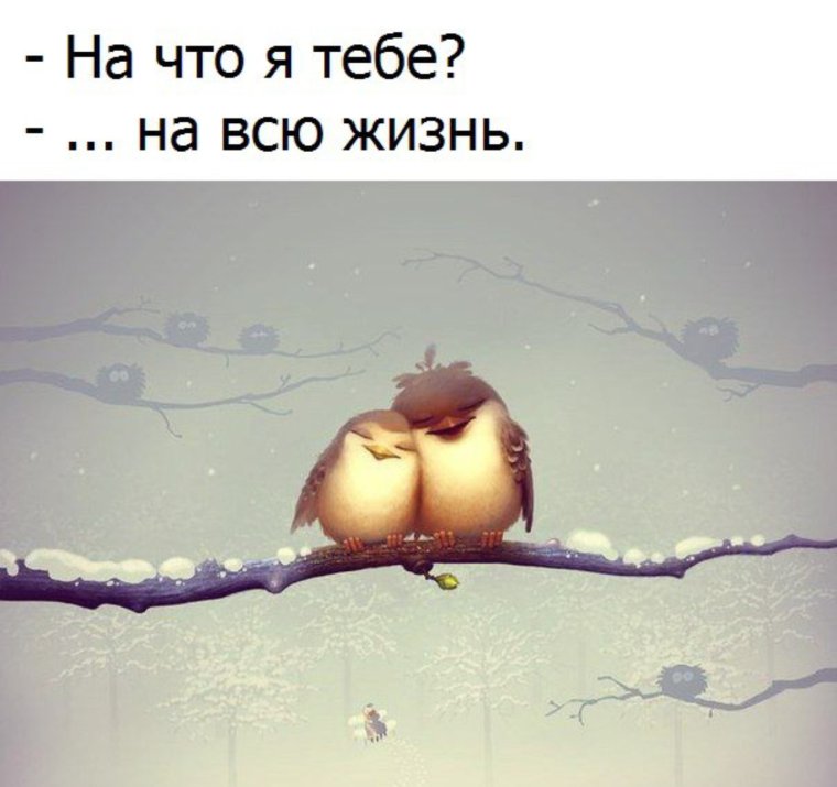 Влюбленные птички на ветке