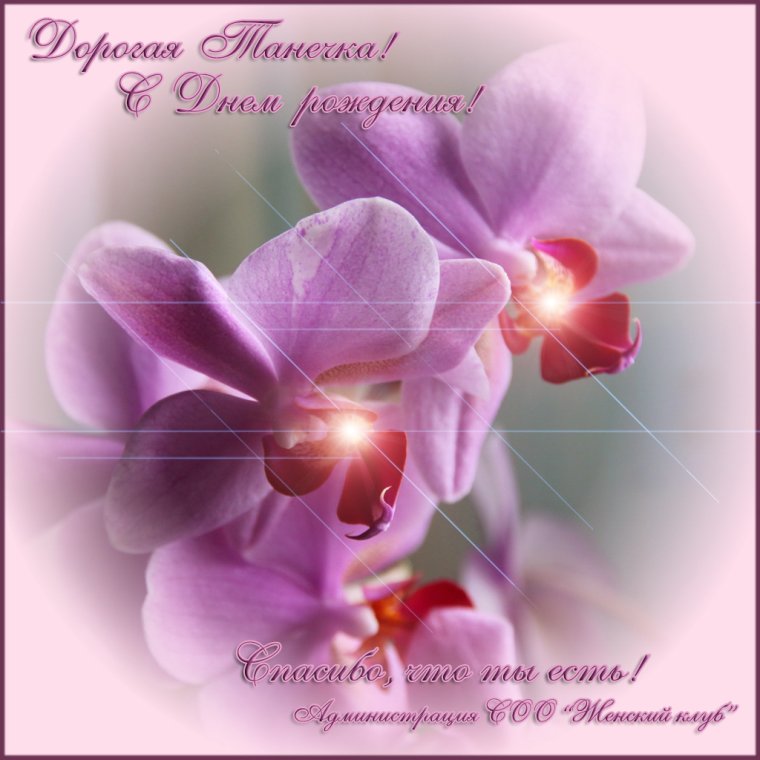 С днём рождения орхидеи