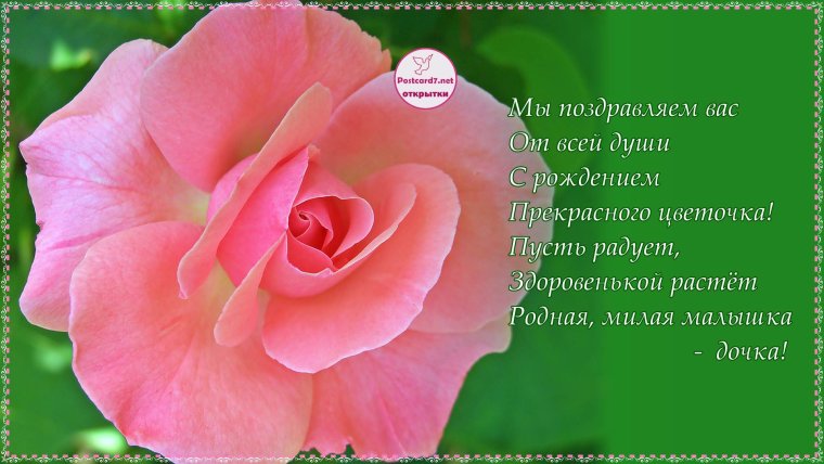 С днем рождения