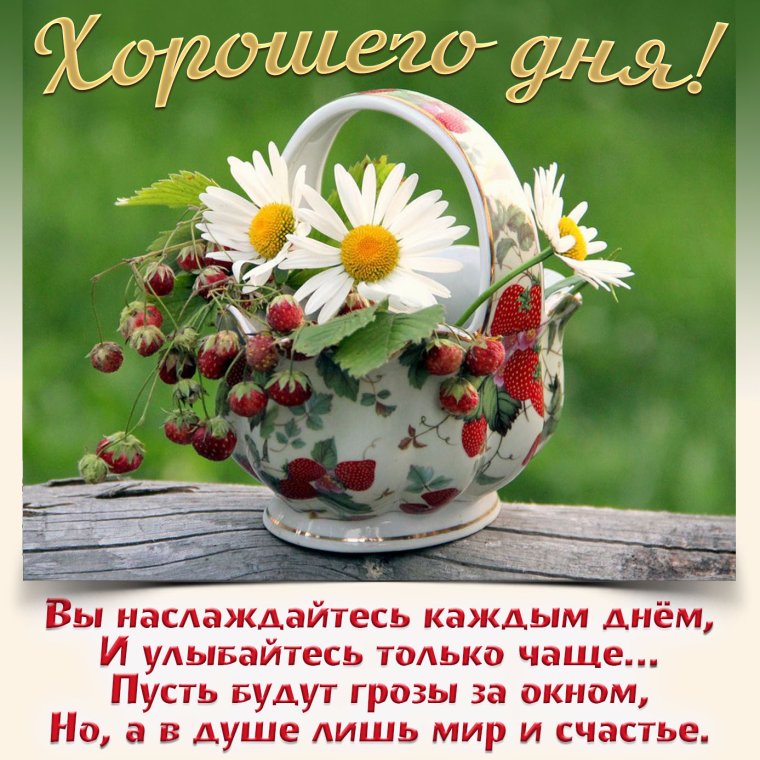 Хорошего летнего дня