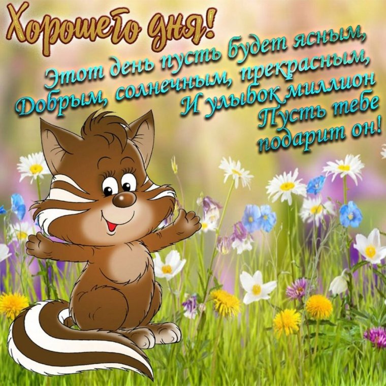 Добрые пожелания