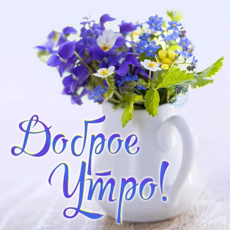 Открытки с добрым утром