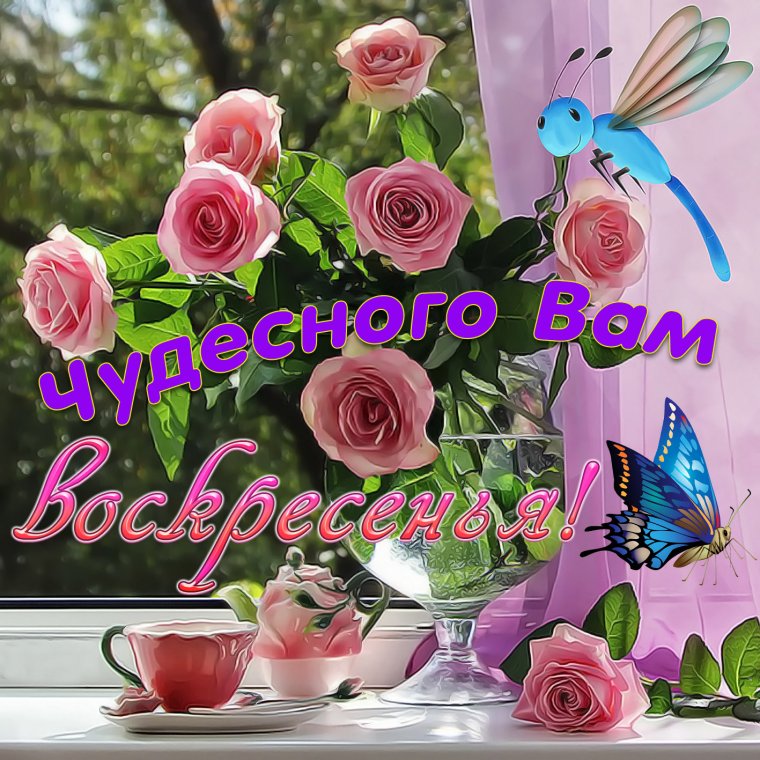 Поздравления с добрым днем красивые
