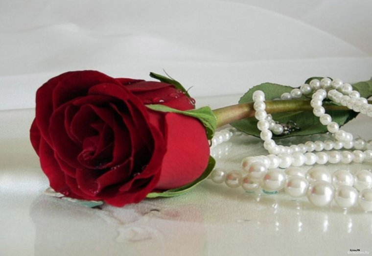 С днём рождения Тамара Константиновна