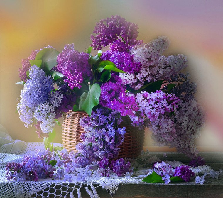 Шикарный букет сирени