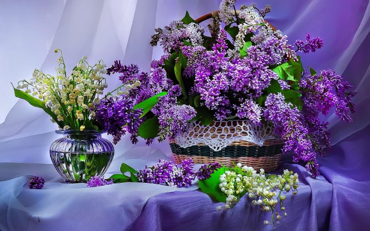 Букет сирени