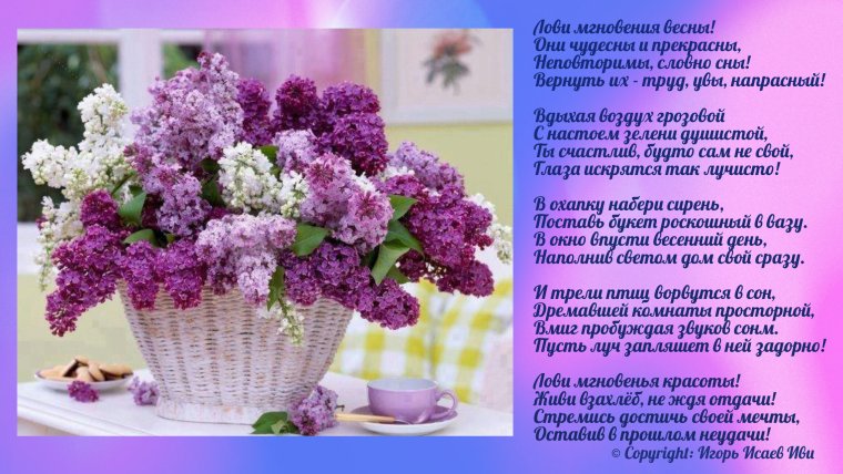 Стихи про сирень