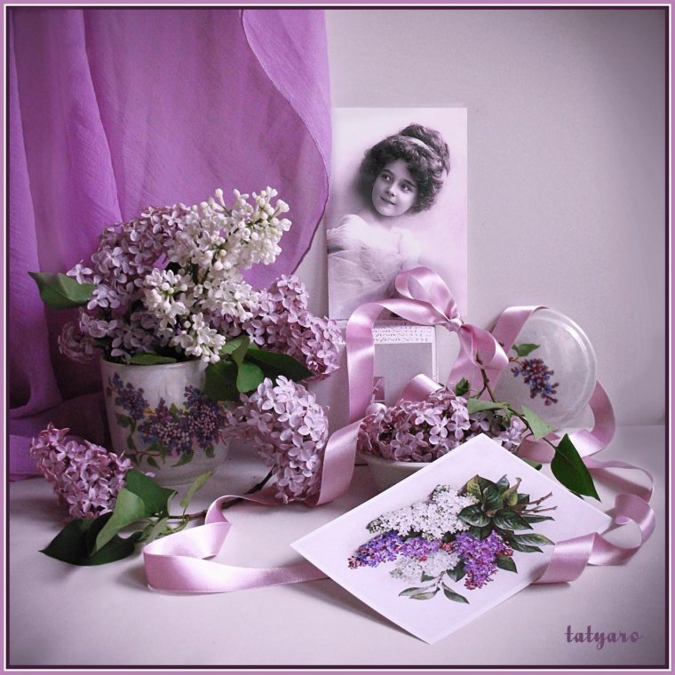 Поздравительные открытки с сиренью