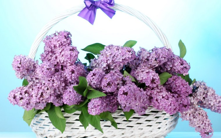 Букет "сирень микс"