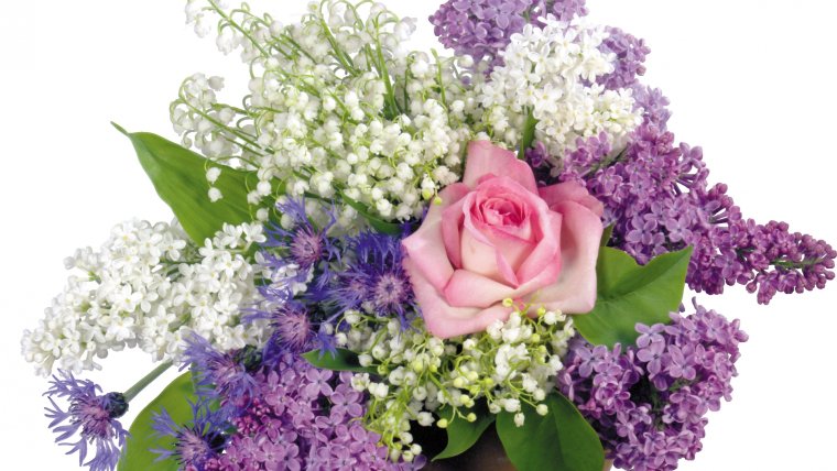 Букет сирени с днем рождения