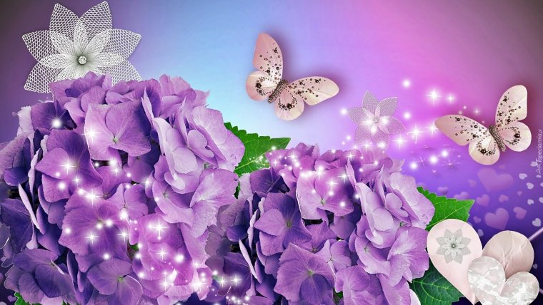 Открытка с сиреневыми цветами