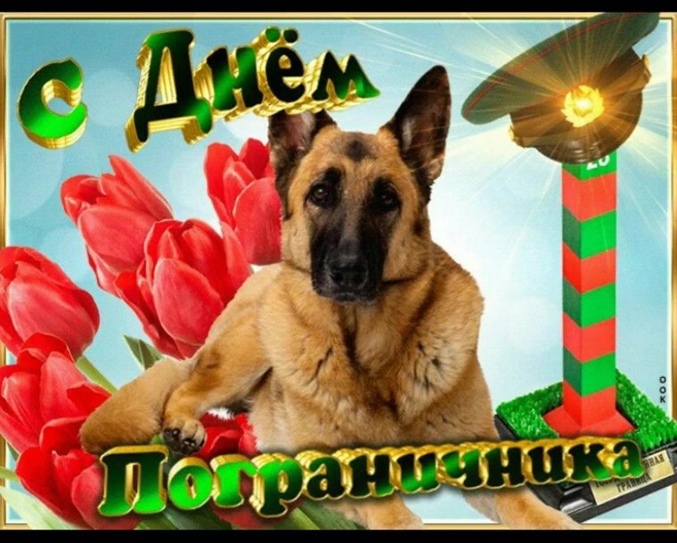 С днем пограничника