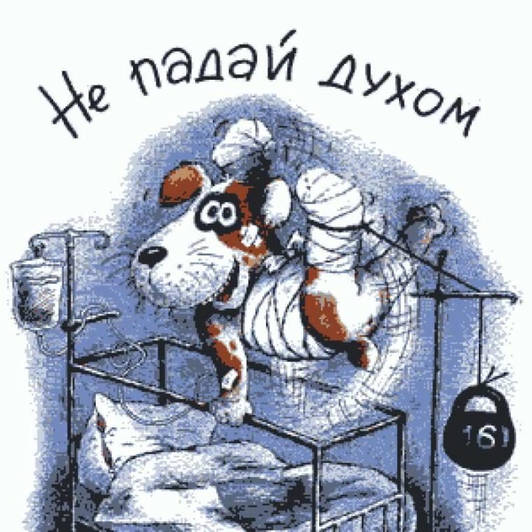 Выздоравливай скорее