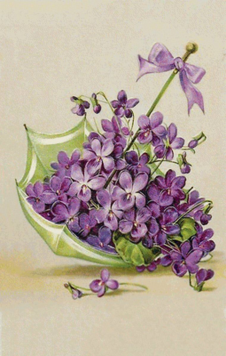 Открытки с фиалками