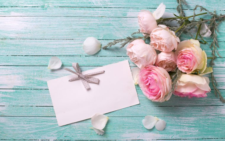 С днём рождениясесренка