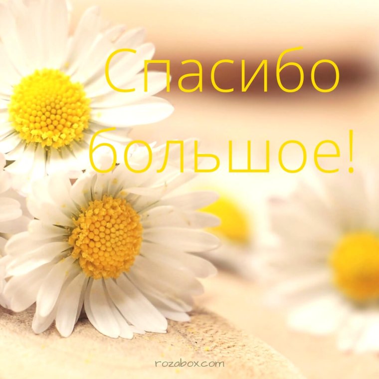 Открытка спасибо