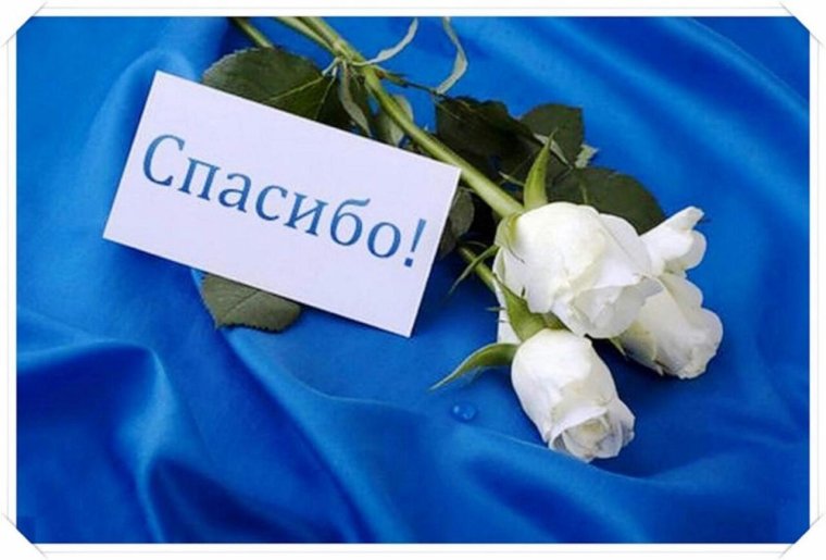 Страница благодарности