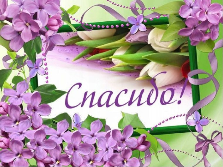 Благодарность шаблон