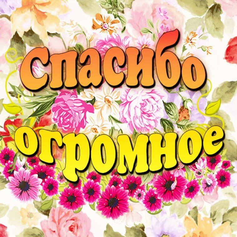 Карточка thank you
