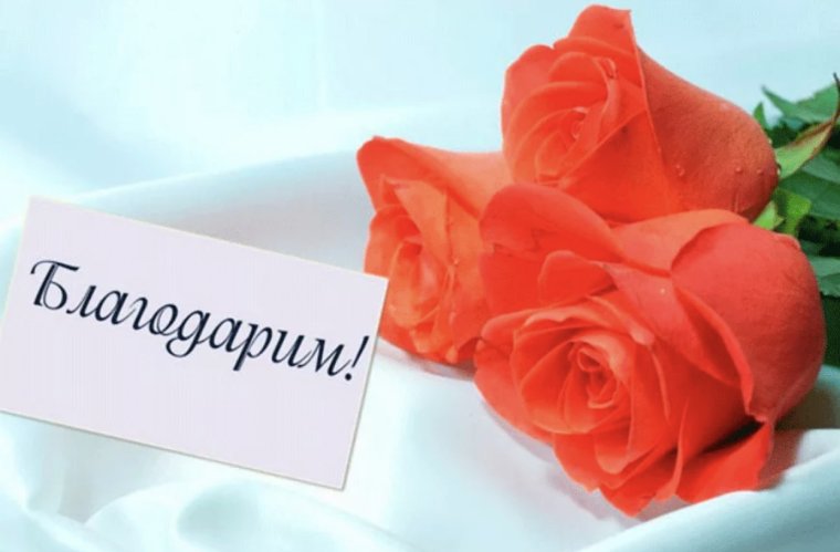 Слова благодарности