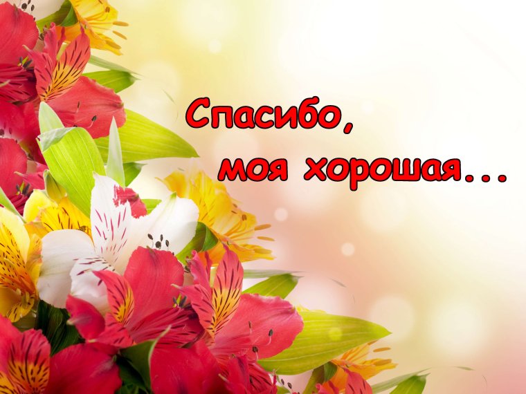 Картинки спасибо за поздравление с сиренью