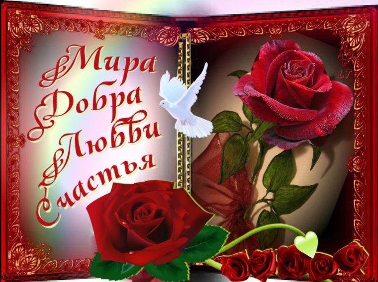 Открытки с пожеланиями счастья и любви