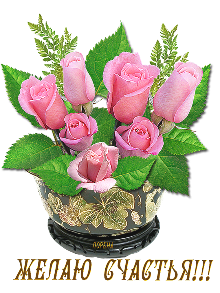 Желаем счастья