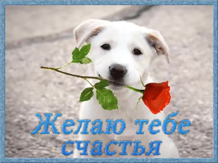 Желаем счастья