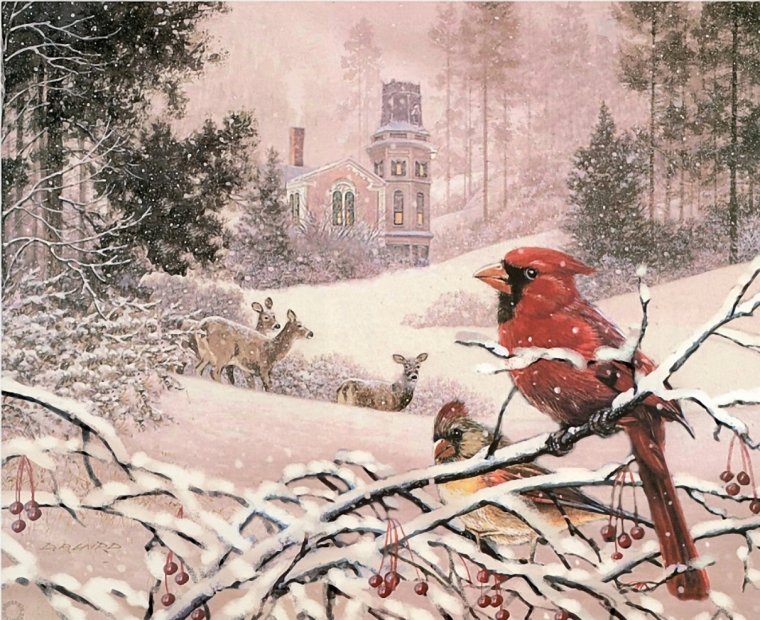 Художник Douglas r. Laird Рождество