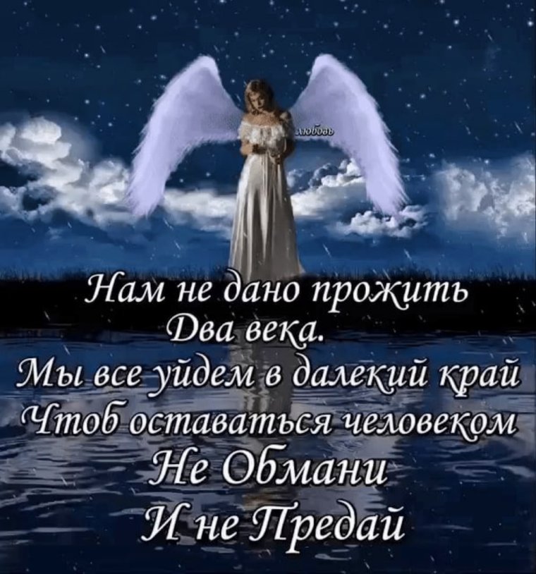 Ангелочки живые