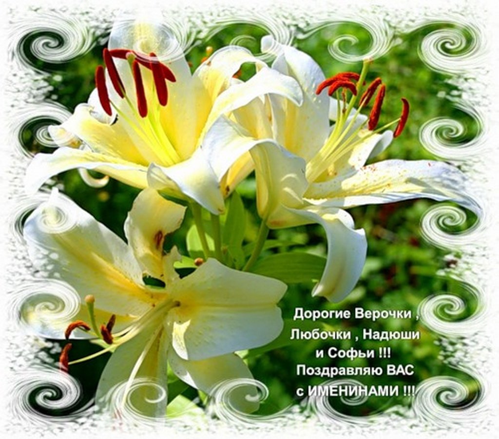 День ангела лилия. С днём рождения лилии цветы. С днём рождения Лилия открытки. Поздравления с днём рождения лилии. С днём рождения женщине лилии.