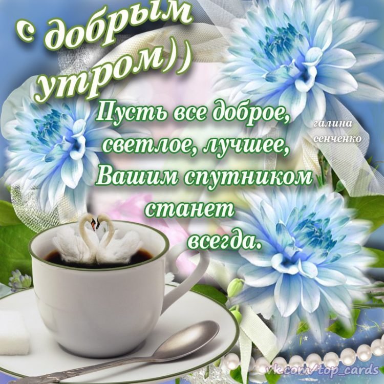 Пожелания доброго утра и хорошего дня
