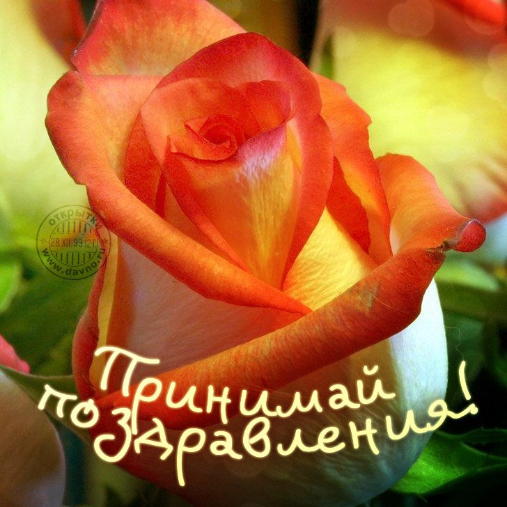 Поздравления с днём рождения рае красивые