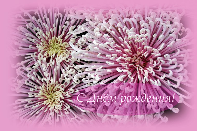 Поздравление ч юбилеем