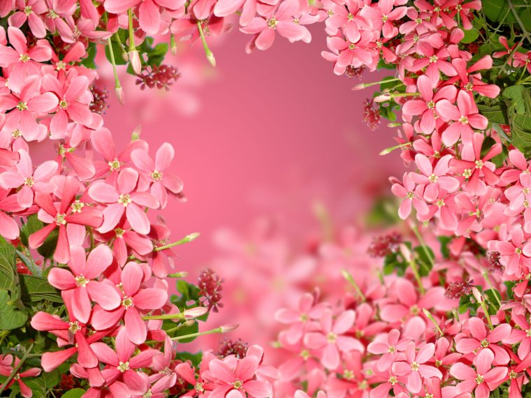 Поздравления с днём рождения модруге