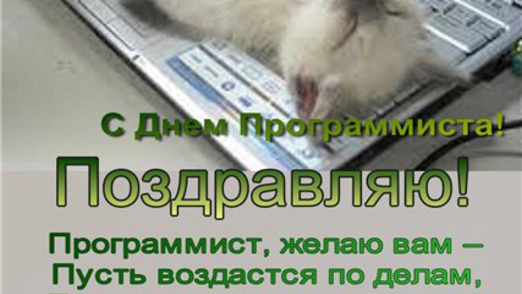 День программиста поздравление