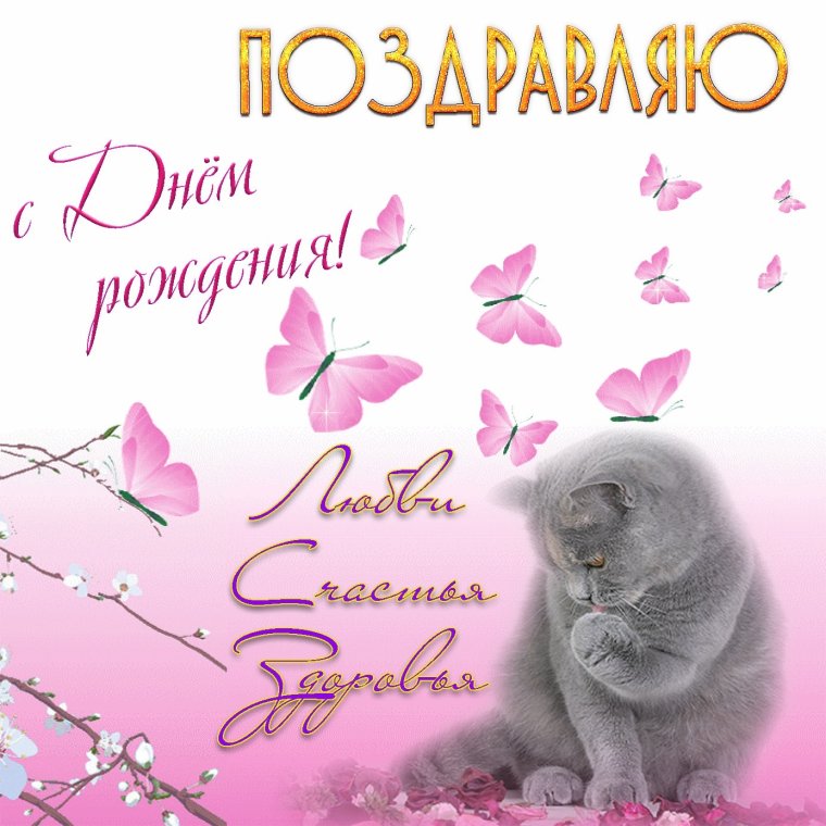 Поздравления с днём рождения женщине с котиками