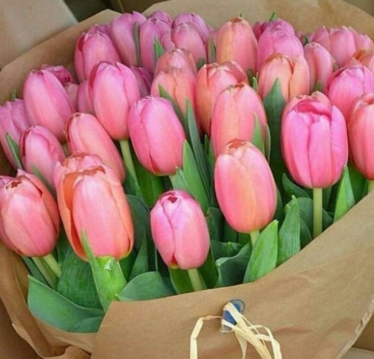 Огромный букет тюльпанов
