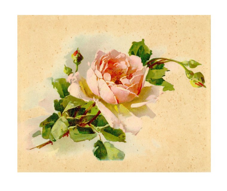 Старые немецкие открытки