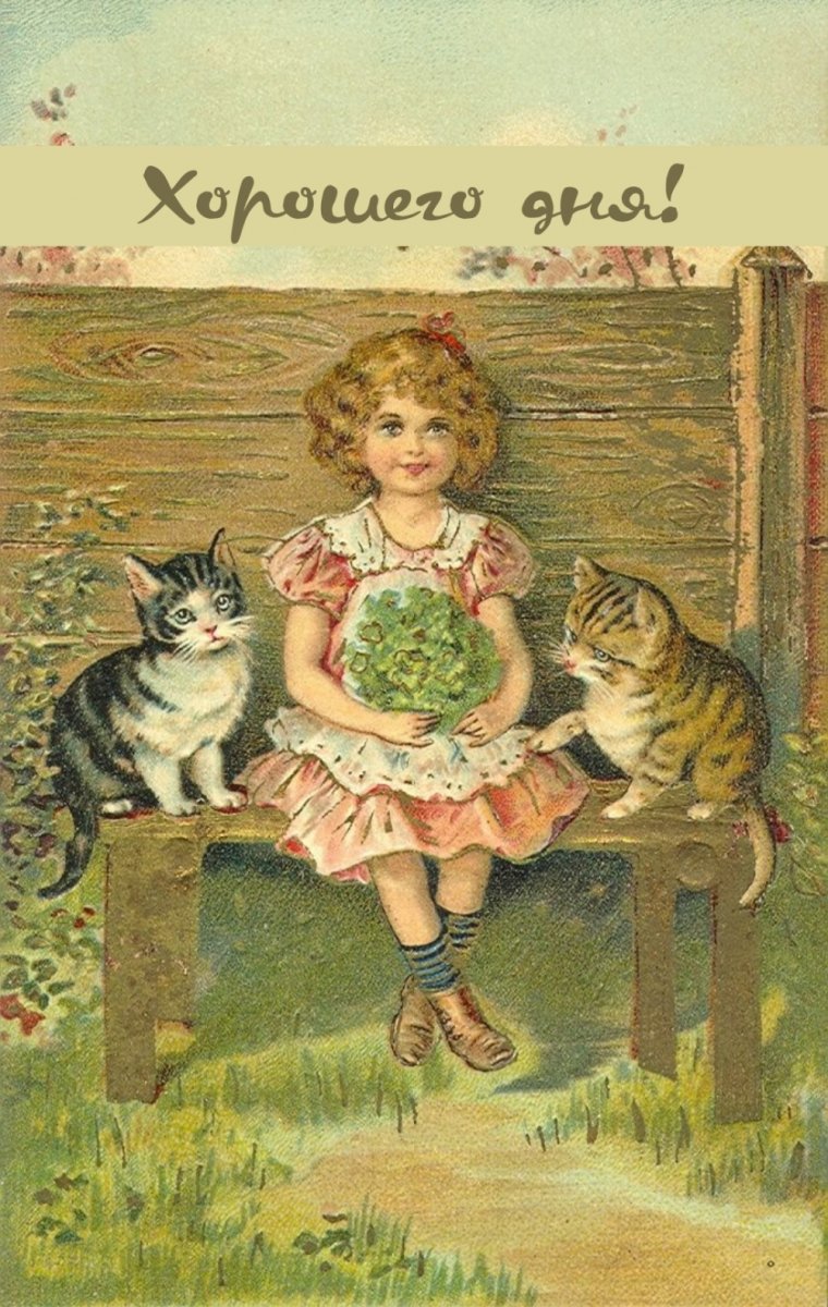 Катарина Кляйн тюльпаны