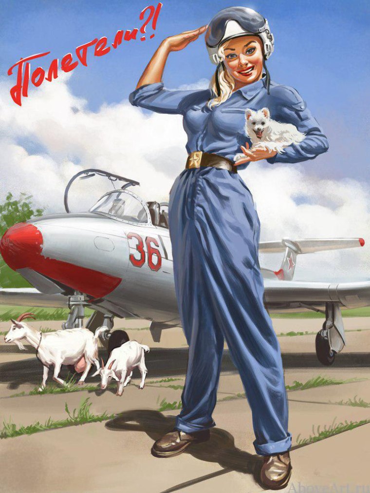 С днём рождения летчику